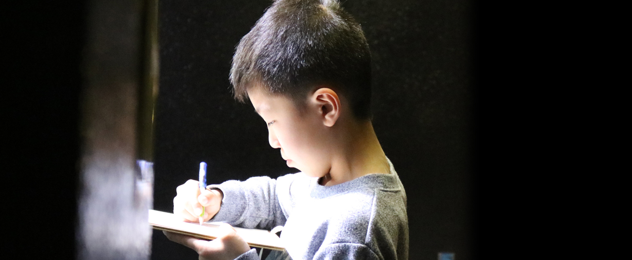 いきもの水彩画家　鈴木 翔太（すずきしょうた）　
	沼津市内の小学校に通う鈴木 翔太（すずきしょうた）くん（10歳）が描く水彩画の紹介です。【小学生個展】